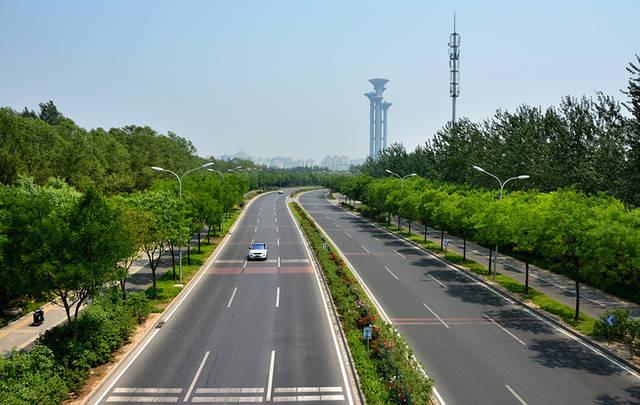 道路綠化養(yǎng)護
