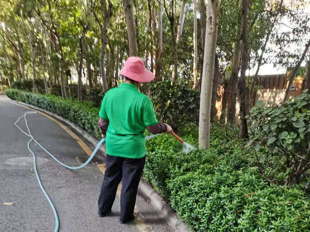 綠化養(yǎng)護的澆水工作