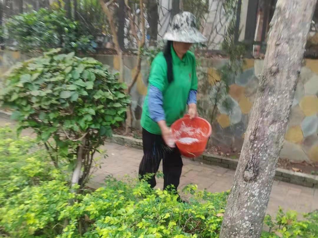 小區(qū)綠化養(yǎng)護施肥