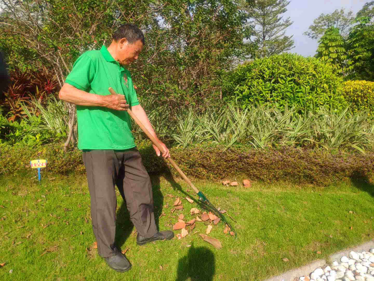 小區(qū)綠化養(yǎng)護