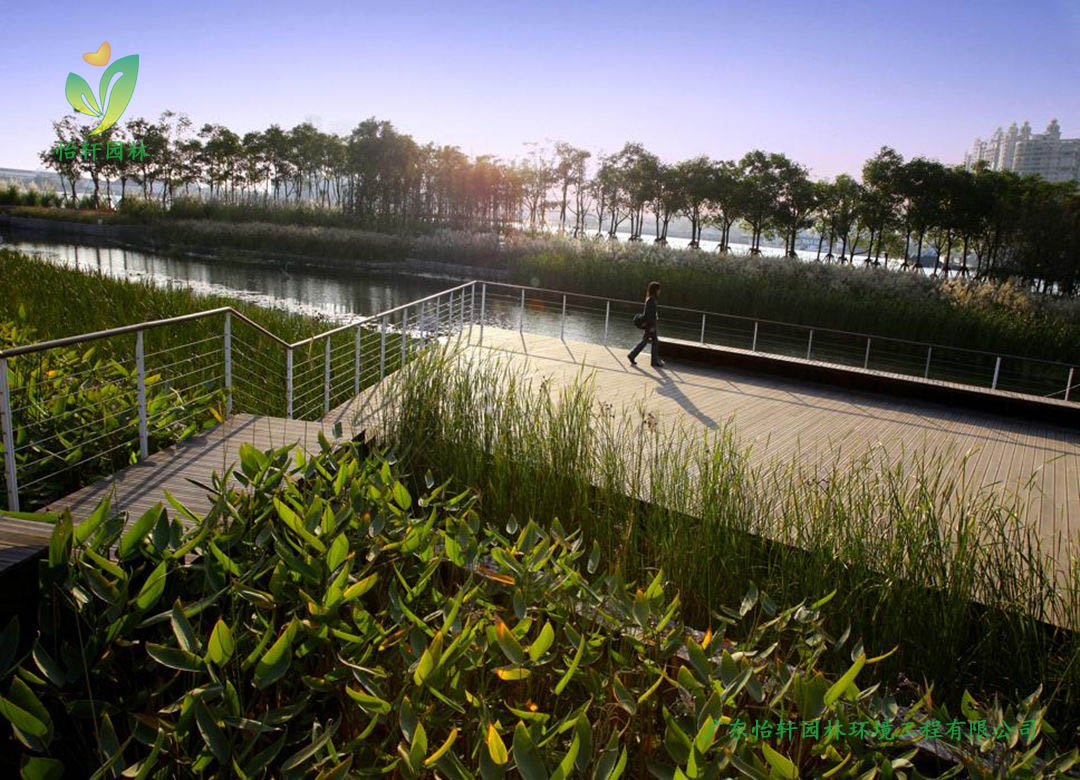 上海世博后灘公園景觀設(shè)計(jì)改造案例效果圖