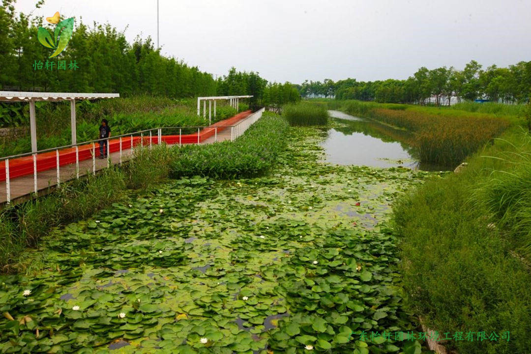 上海世博后灘公園景觀設(shè)計(jì)改造案例效果圖