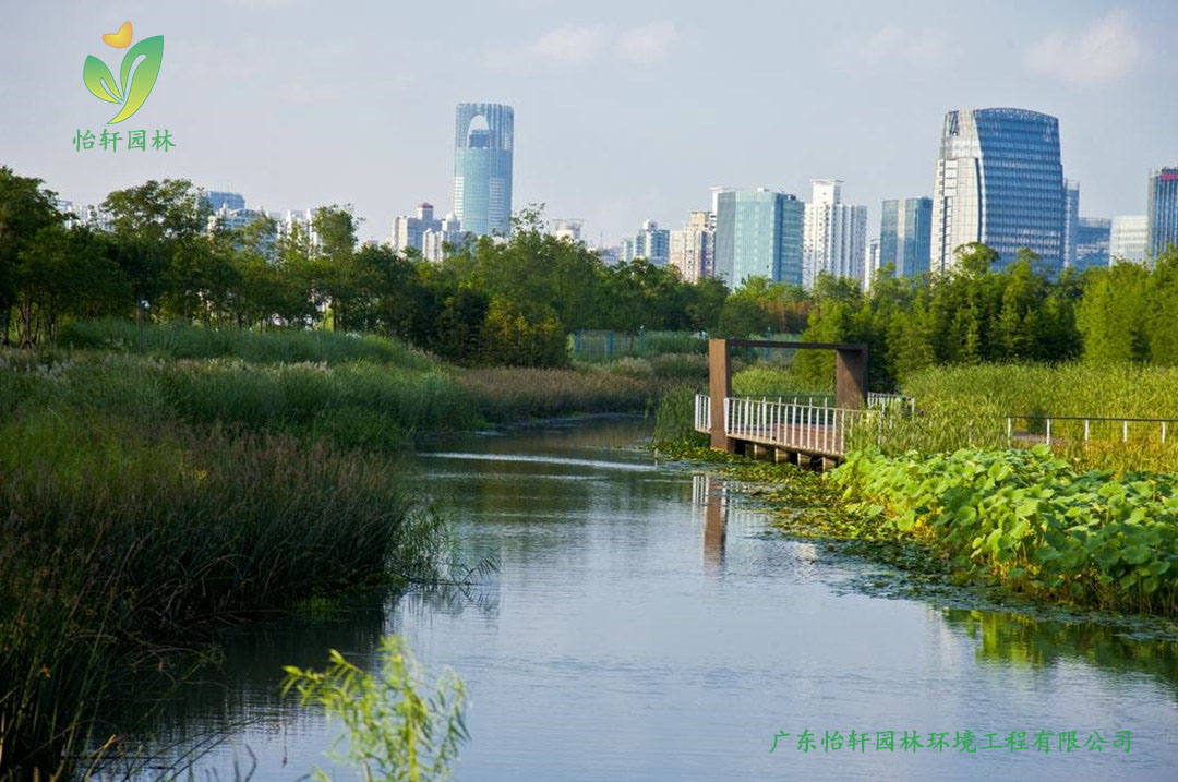 上海世博后灘公園景觀設(shè)計(jì)改造案例效果圖