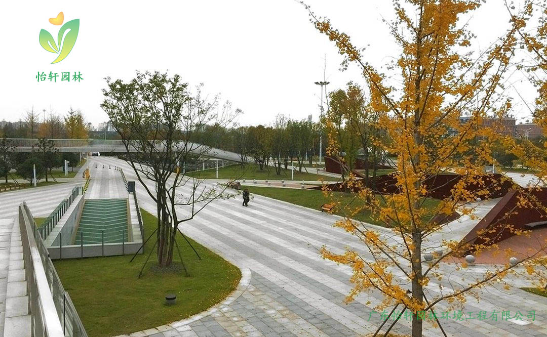 江蘇省揚(yáng)州李寧體育公園景觀設(shè)計案例效果圖