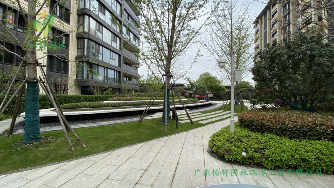 2肇慶碧桂園玖龍灣公館小區(qū)綠化工程改造案例圖