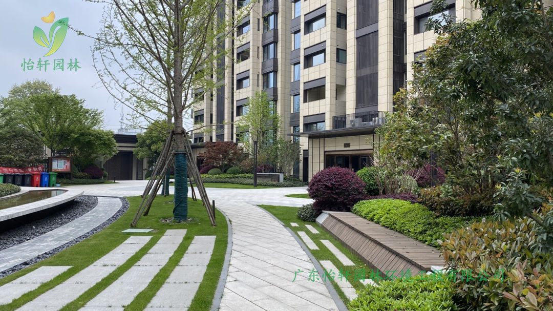 肇慶碧桂園玖龍灣公館小區(qū)綠化工程改造案例圖