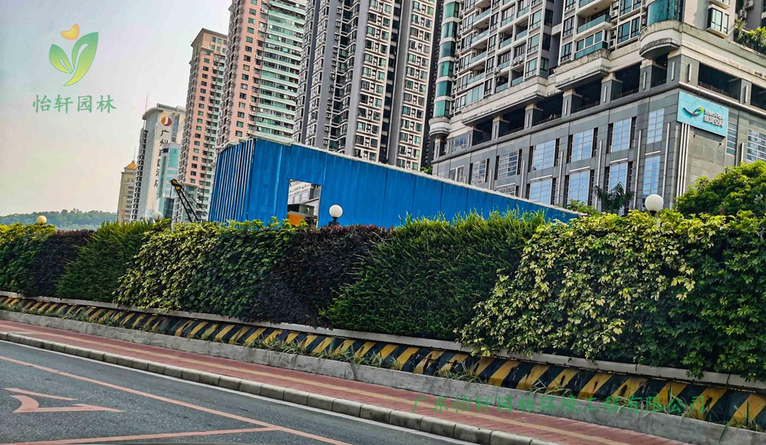 廣州林和路道路綠化工程施工改造案例效果展示圖