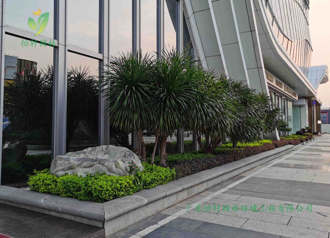東莞名家居世博園企業(yè)綠化工程改造案例展示圖