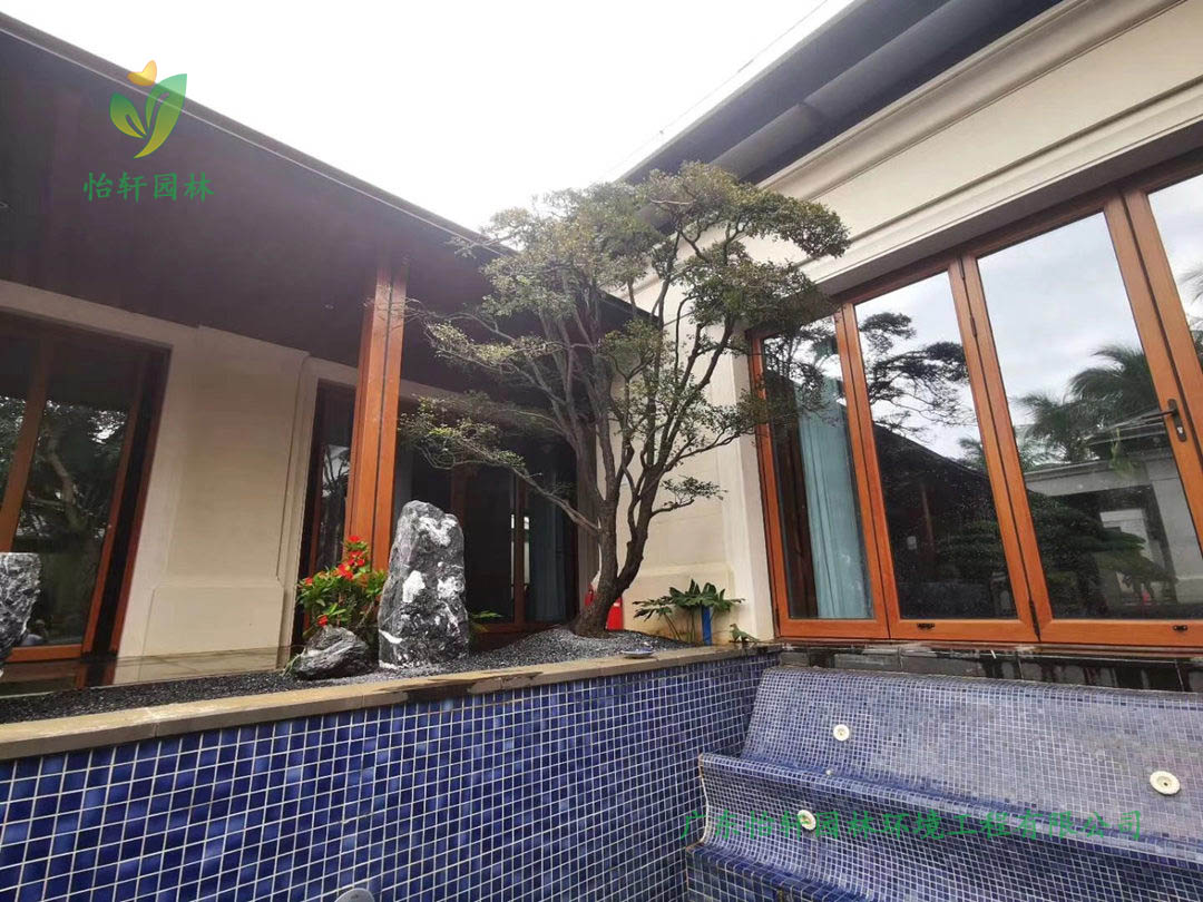 海南玖月小筑別墅小區(qū)綠化工程實(shí)景圖
