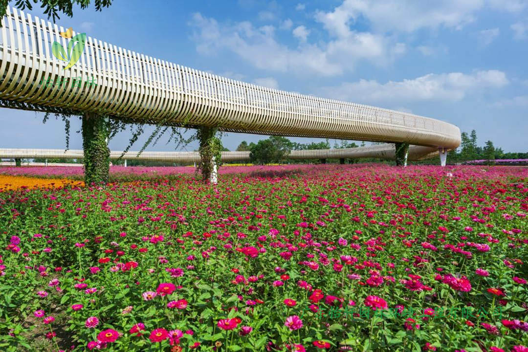 宿遷三臺山森林公園衲田花海景觀設(shè)計效果圖