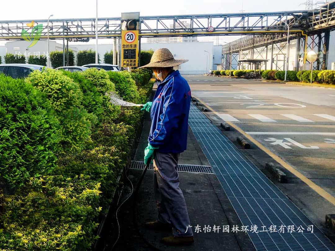 佛山南海本田零部件制造有限公司工廠綠化養(yǎng)護(hù)