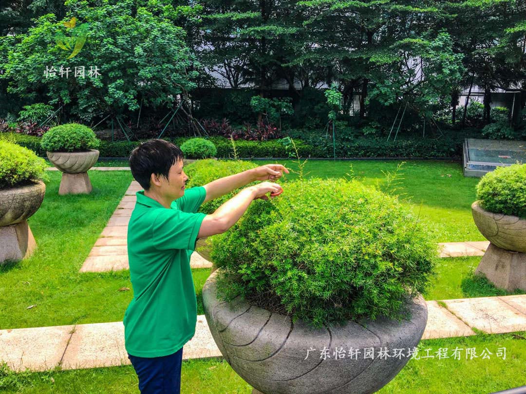 廣州荔灣區(qū)逸翠灣小區(qū)綠化養(yǎng)護