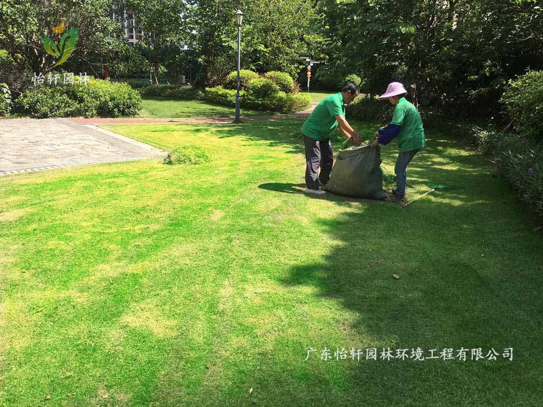 廣州荔灣區(qū)逸翠灣小區(qū)綠化養(yǎng)護