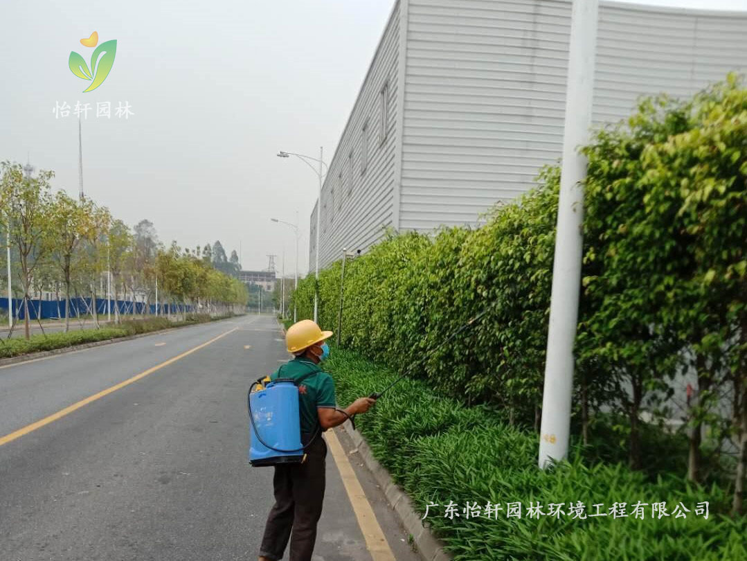 佛山瀚藍綠電固廢處理工廠綠化養(yǎng)護