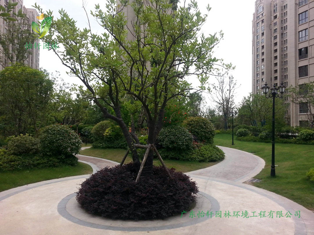 上海遠(yuǎn)洋香奈高檔小區(qū)園林綠化工程效果圖