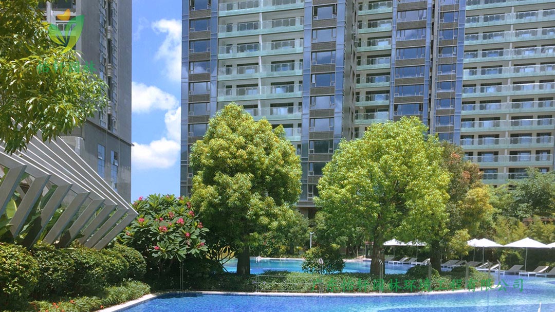 怡軒園林深圳博林天瑞小區(qū)綠化景觀設計實景圖