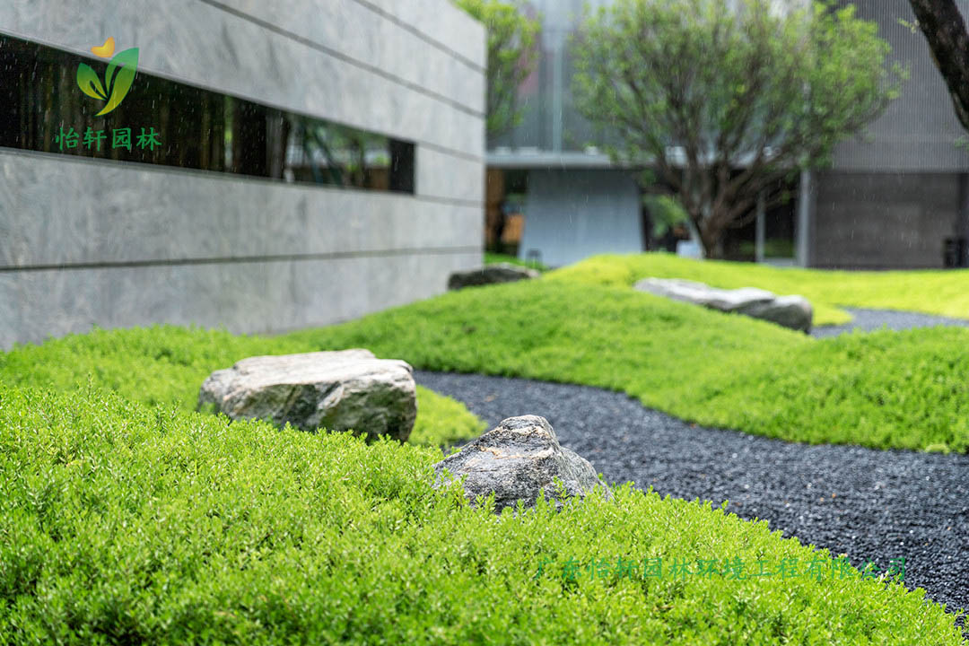 保利廣鋼225地塊住宅區(qū)綠化工程施工改造實(shí)景圖