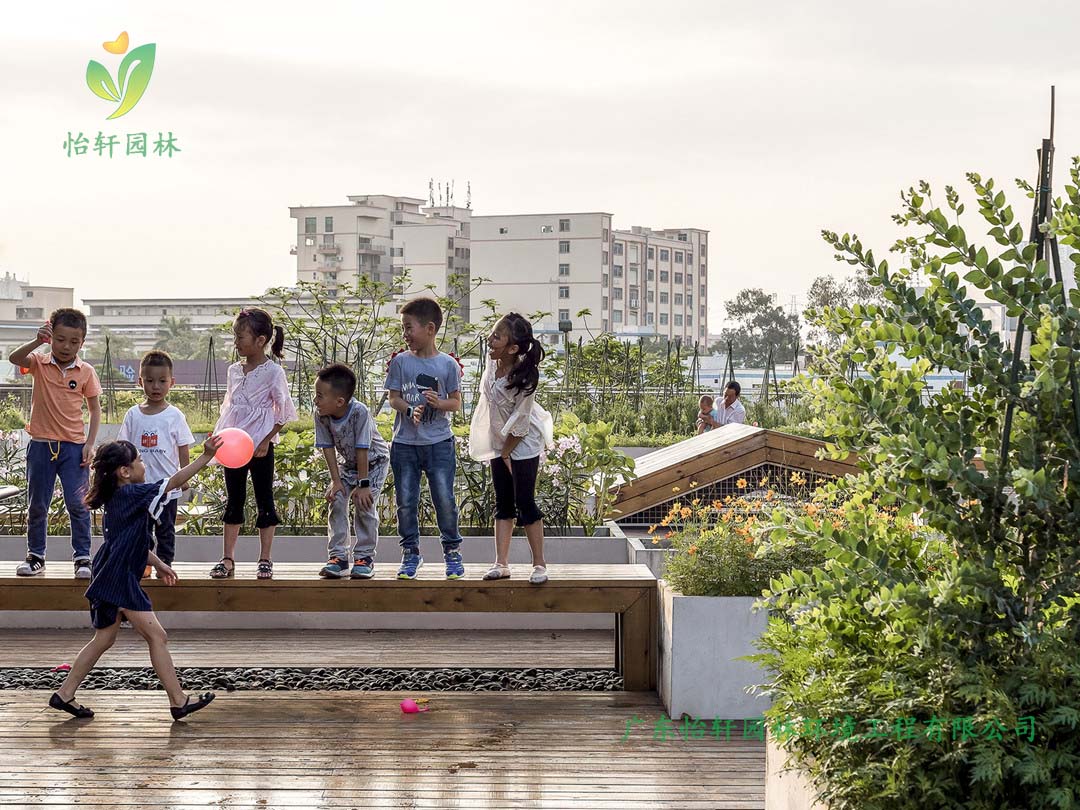 全至科技創(chuàng)新園種植平臺和體驗館綠化工程實景圖