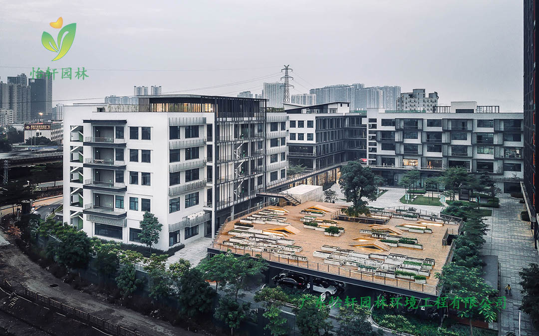全至科技創(chuàng)新園種植平臺和體驗館綠化工程實景圖