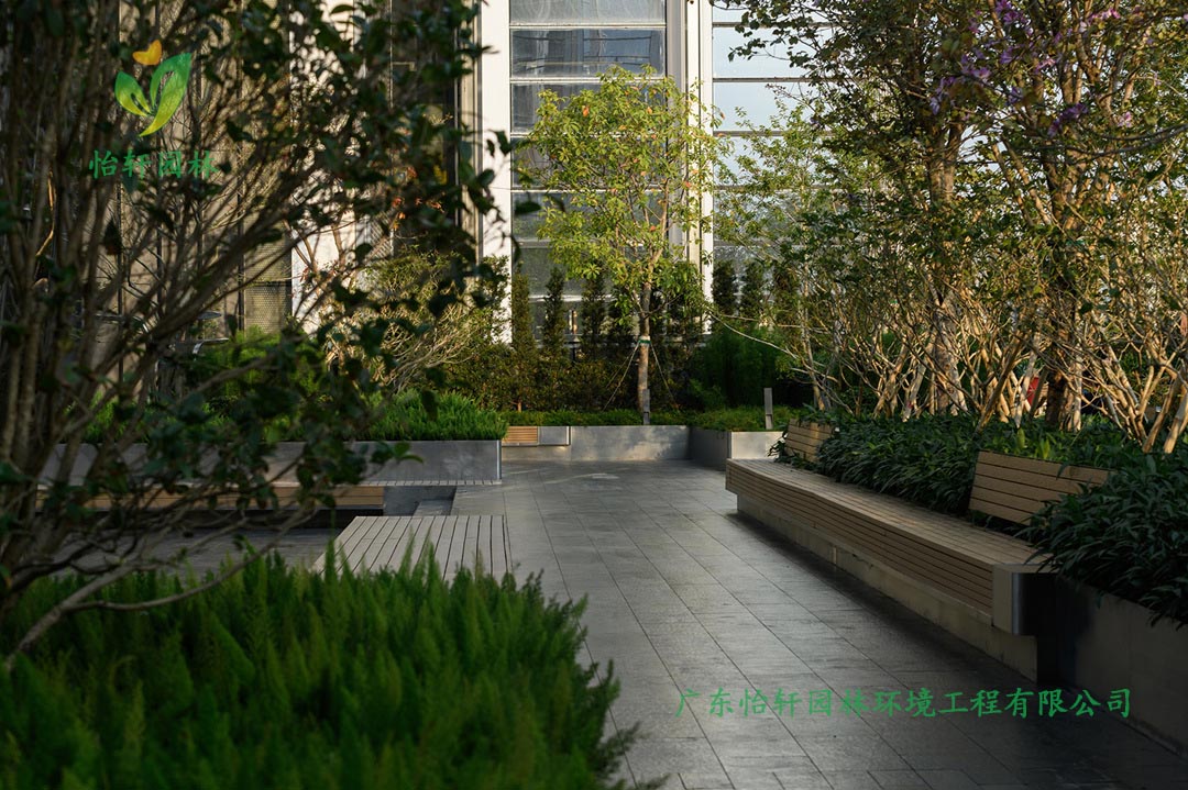 深圳萬象天地商業(yè)街花園綠化工程實(shí)景圖