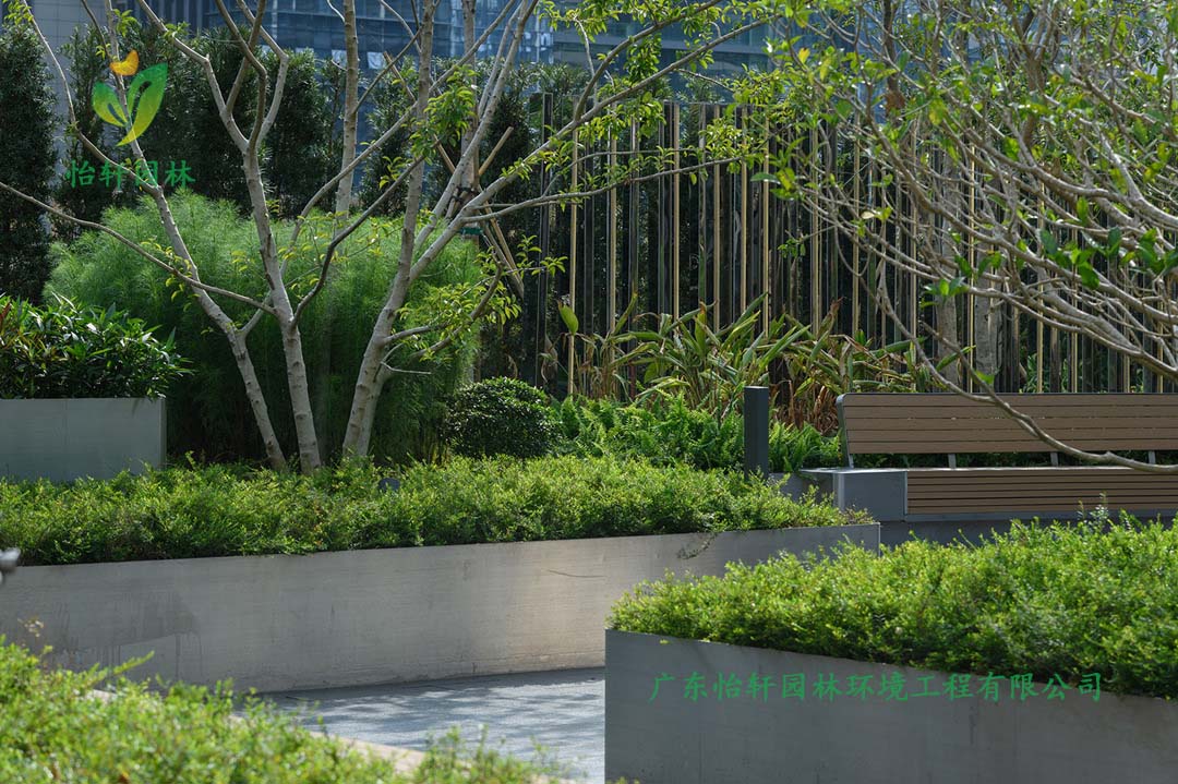 深圳萬象天地商業(yè)街花園綠化工程實(shí)景圖