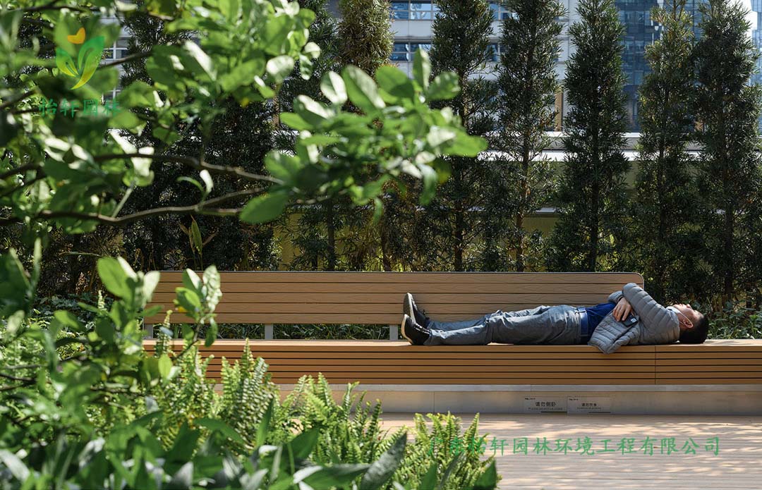 深圳萬象天地商業(yè)街花園綠化工程實(shí)景圖