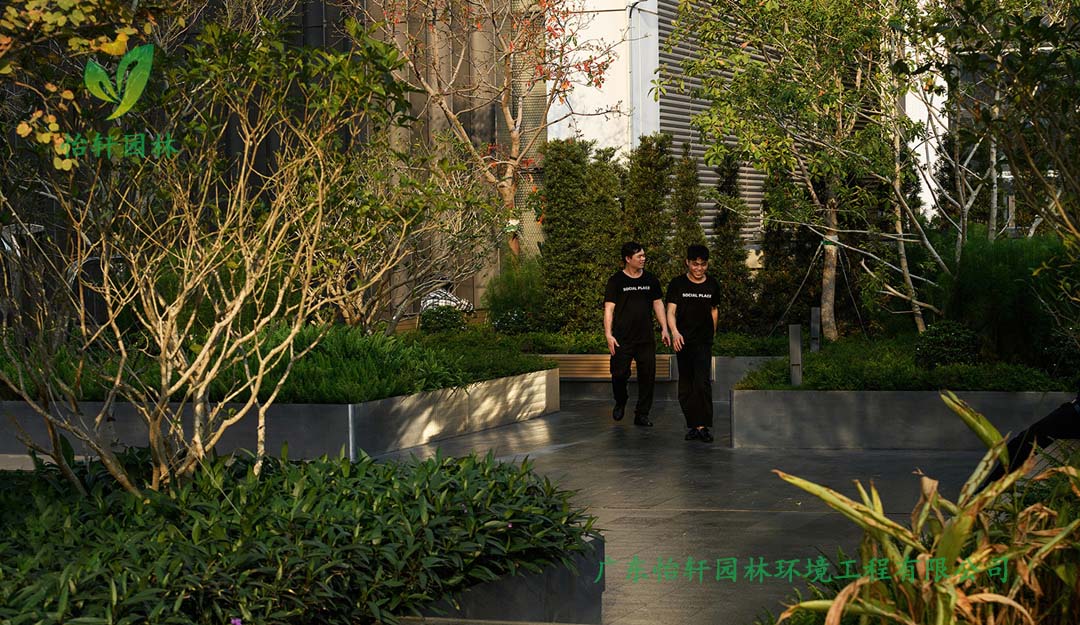 深圳萬象天地商業(yè)街花園綠化工程實(shí)景圖