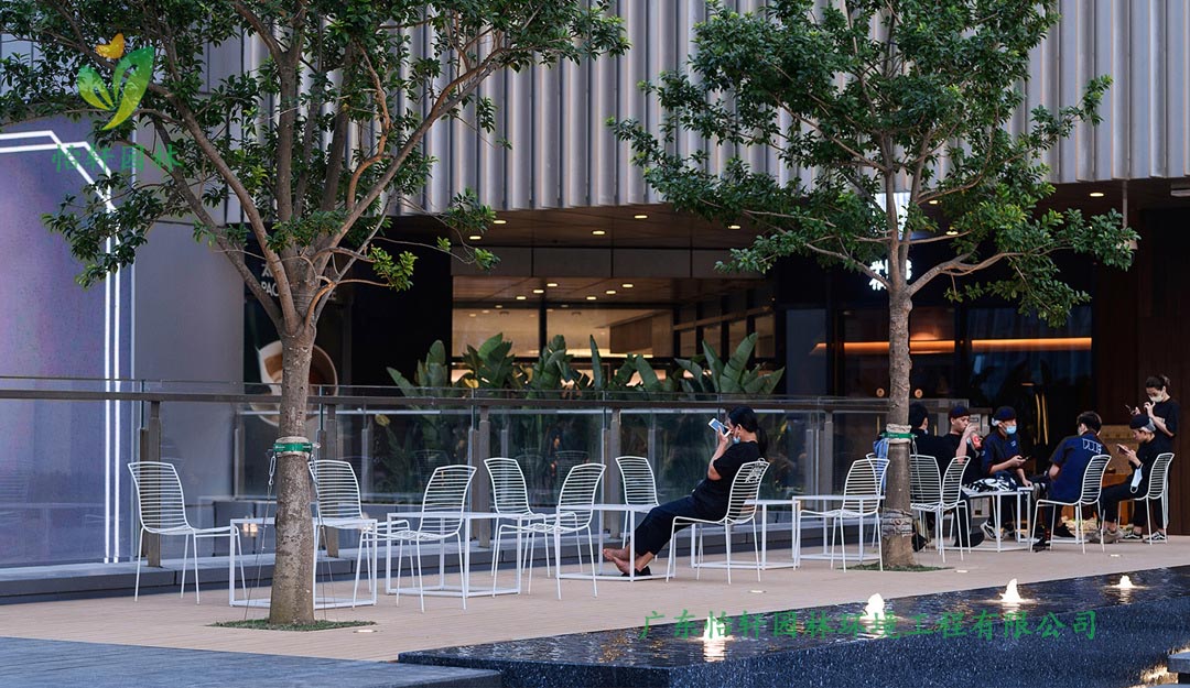 深圳萬象天地商業(yè)街花園綠化工程實(shí)景圖