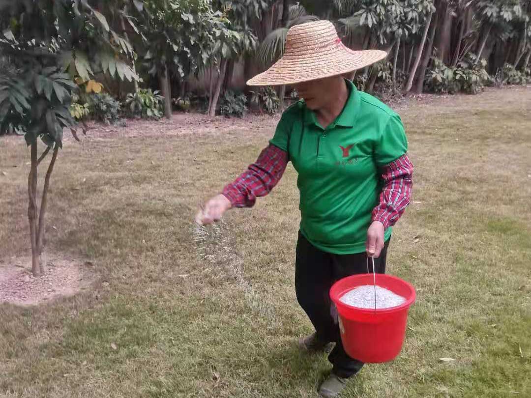 怡軒園林綠化公司秋季綠化養(yǎng)護(hù)施肥