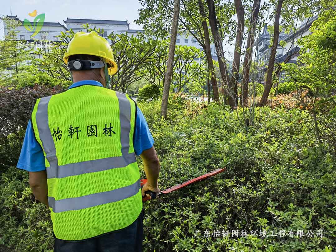 惠州綠色動(dòng)力廠區(qū)日常養(yǎng)護(hù)工作