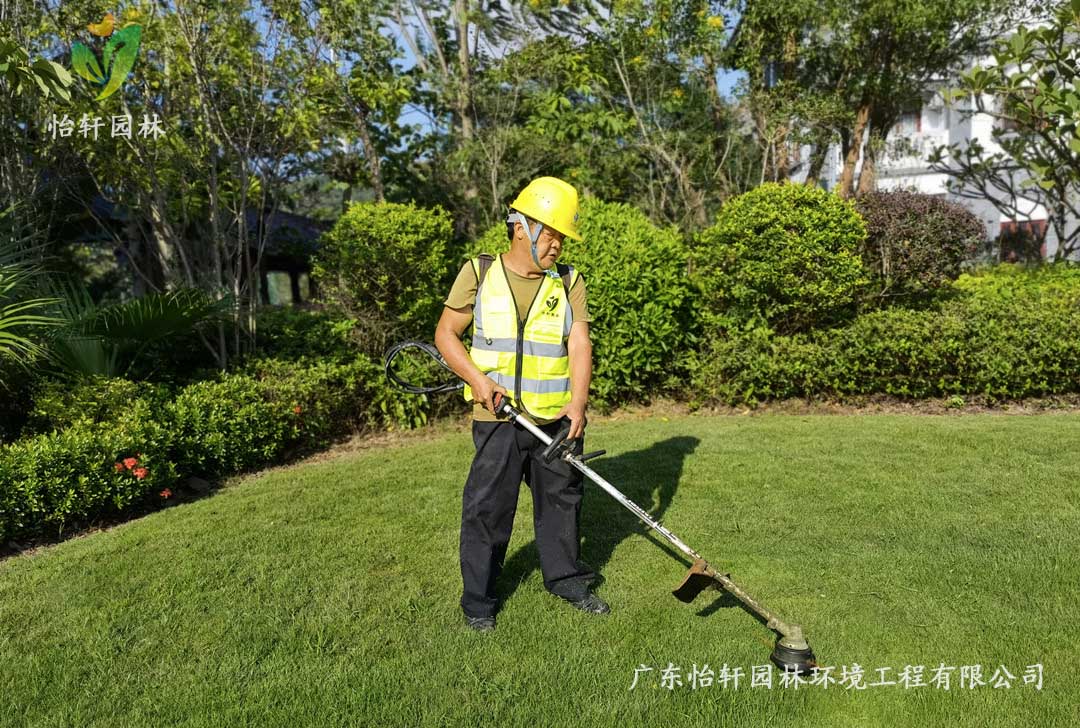 5惠州綠色動(dòng)力廠區(qū)日常養(yǎng)護(hù)工作