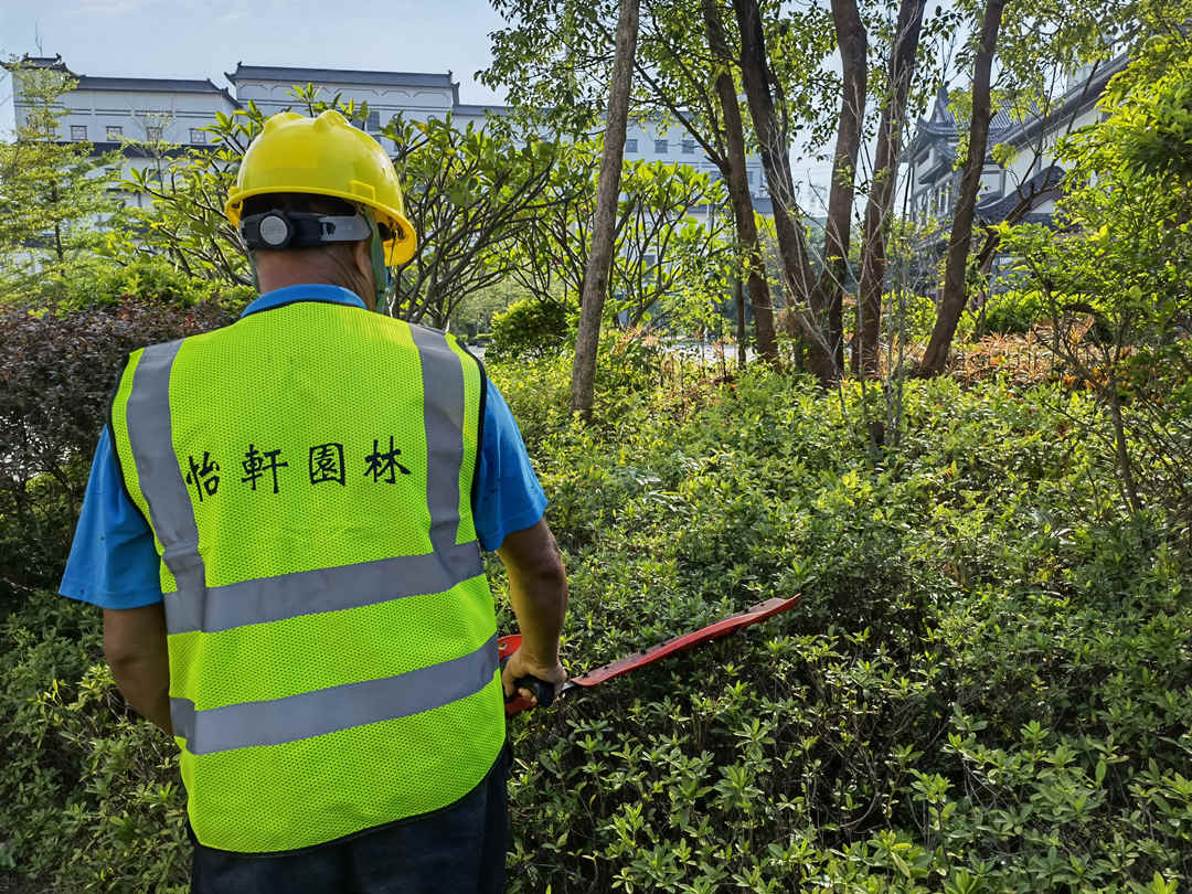 綠化養(yǎng)護修剪