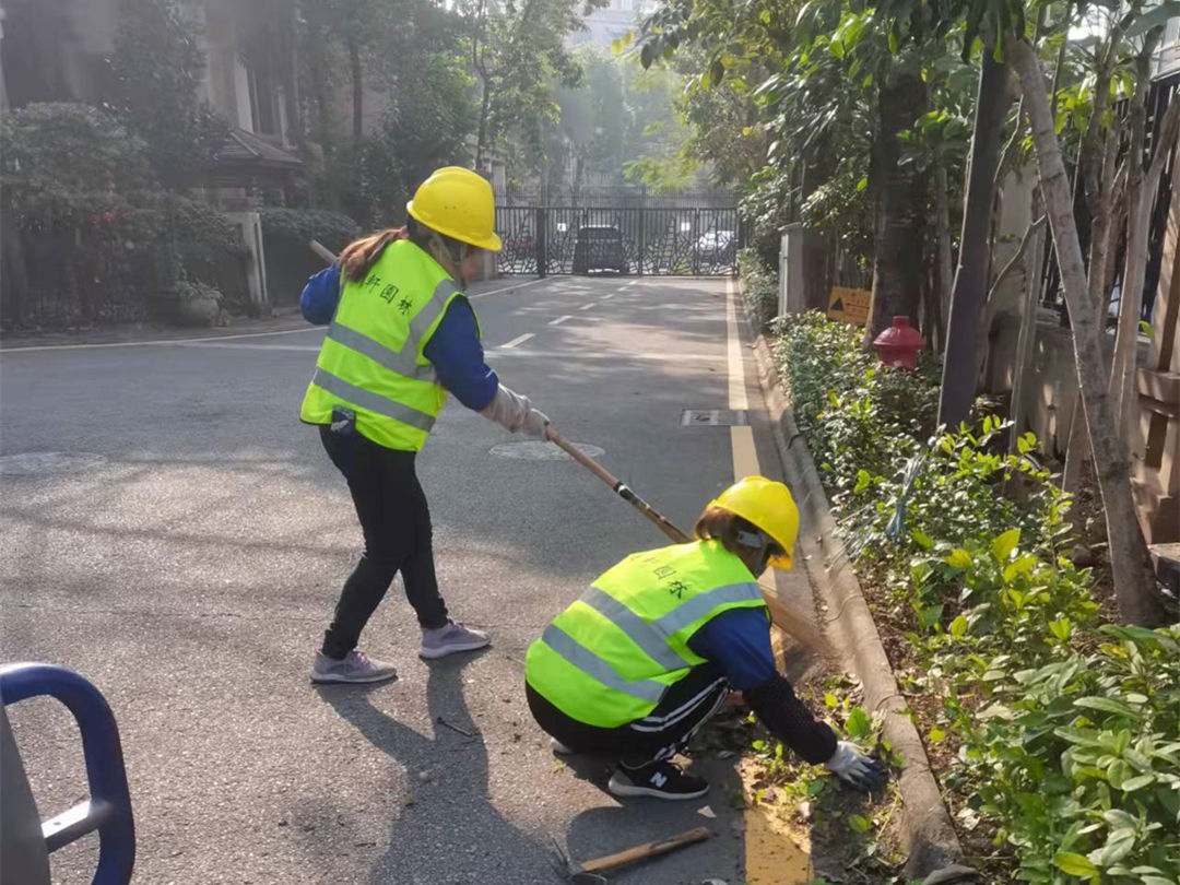 小區(qū)綠化養(yǎng)護(hù)清理綠化垃圾
