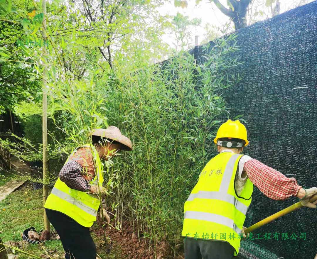 番禺露營基地綠化工程種植現(xiàn)場