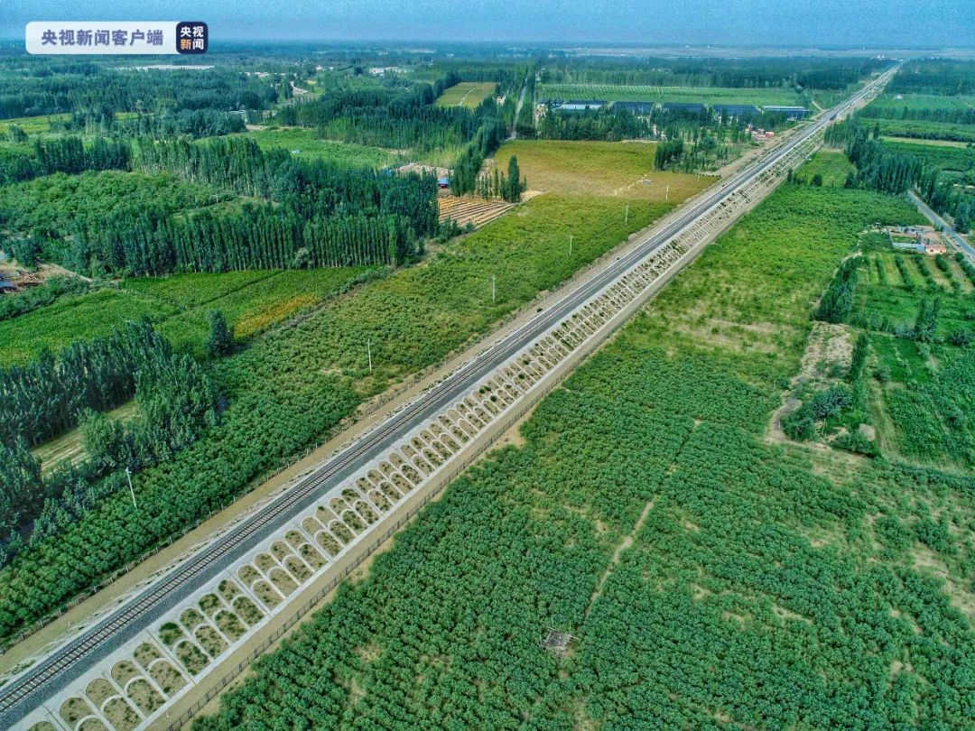 防沙護路的綠色屏障