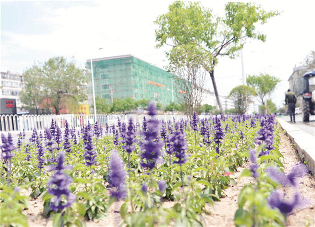 吉林省延吉市：積極加快推進(jìn)城市園林綠化提升工程，迎接延邊建州70周年！