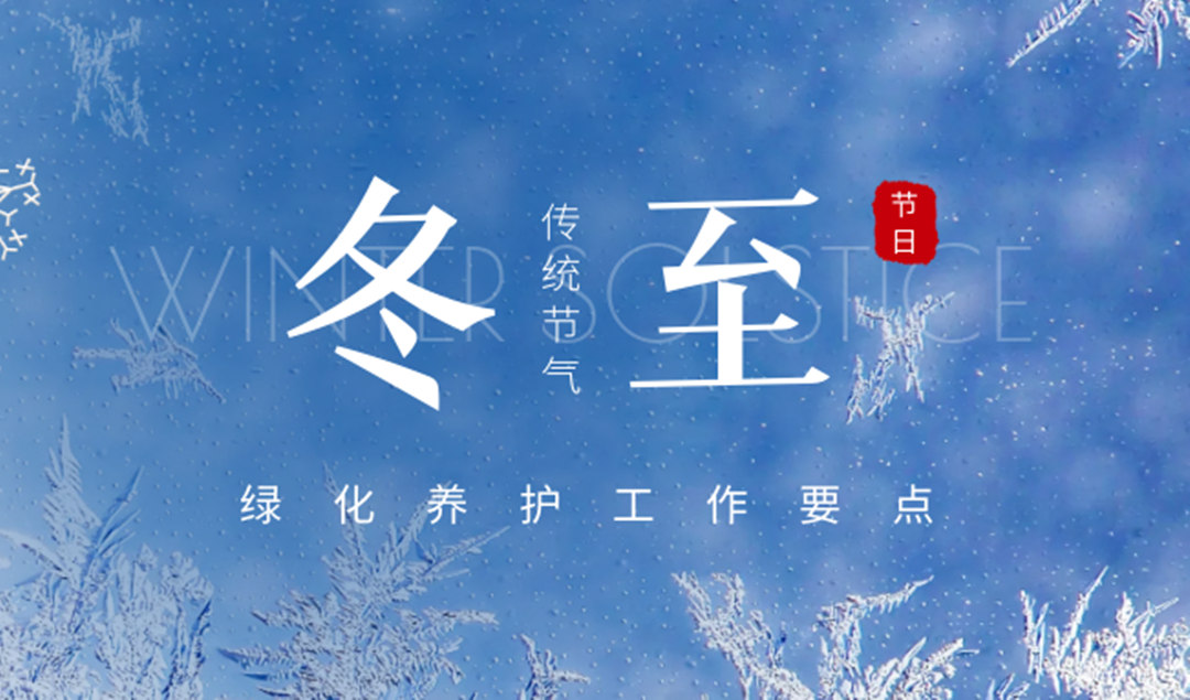 冬至綠化養(yǎng)護(hù)要點(diǎn)
