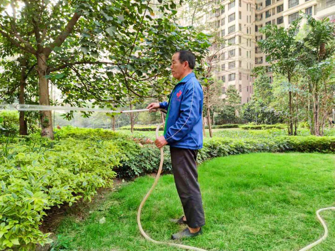 小區(qū)綠化養(yǎng)護澆水