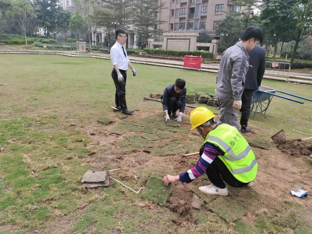 三月份園林綠化養(yǎng)護(hù)補植