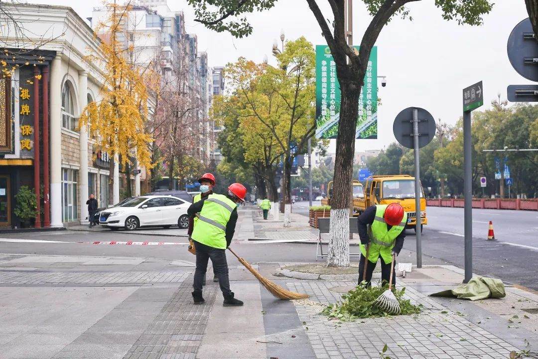 園林綠化養(yǎng)護清理樹枝