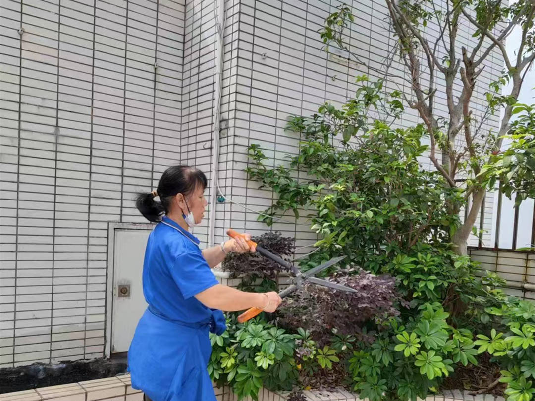 園林綠化養(yǎng)護(hù)修剪