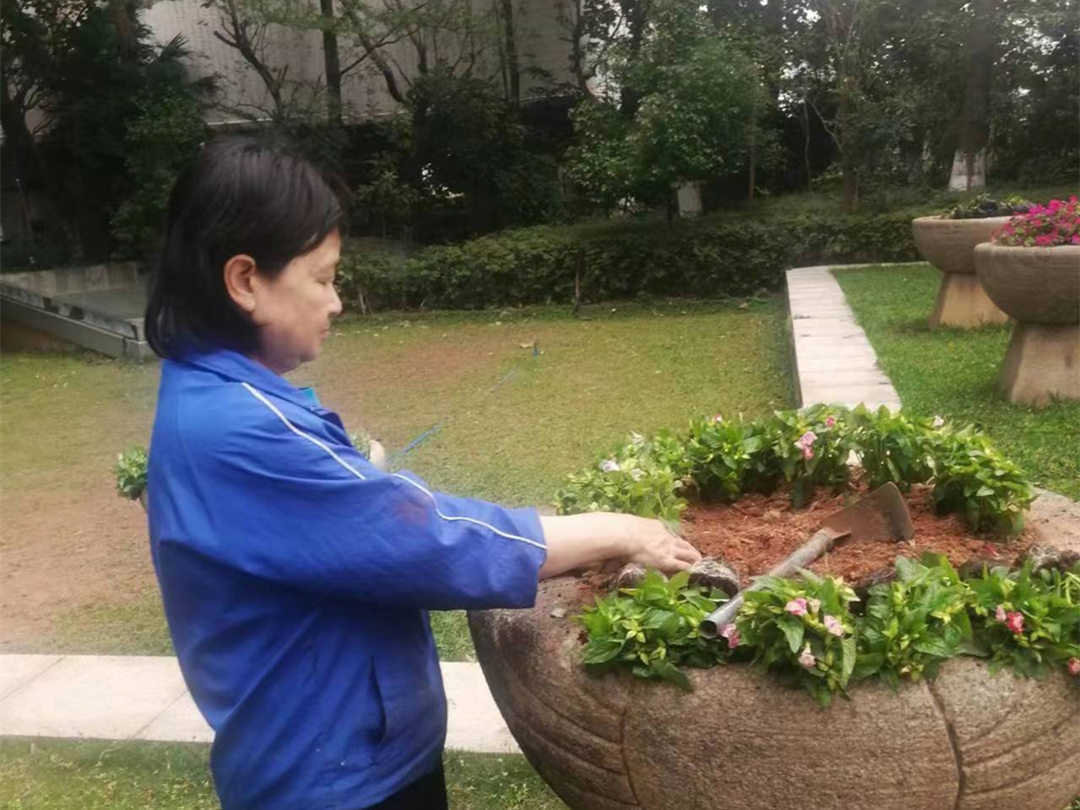 綠化養(yǎng)護補植