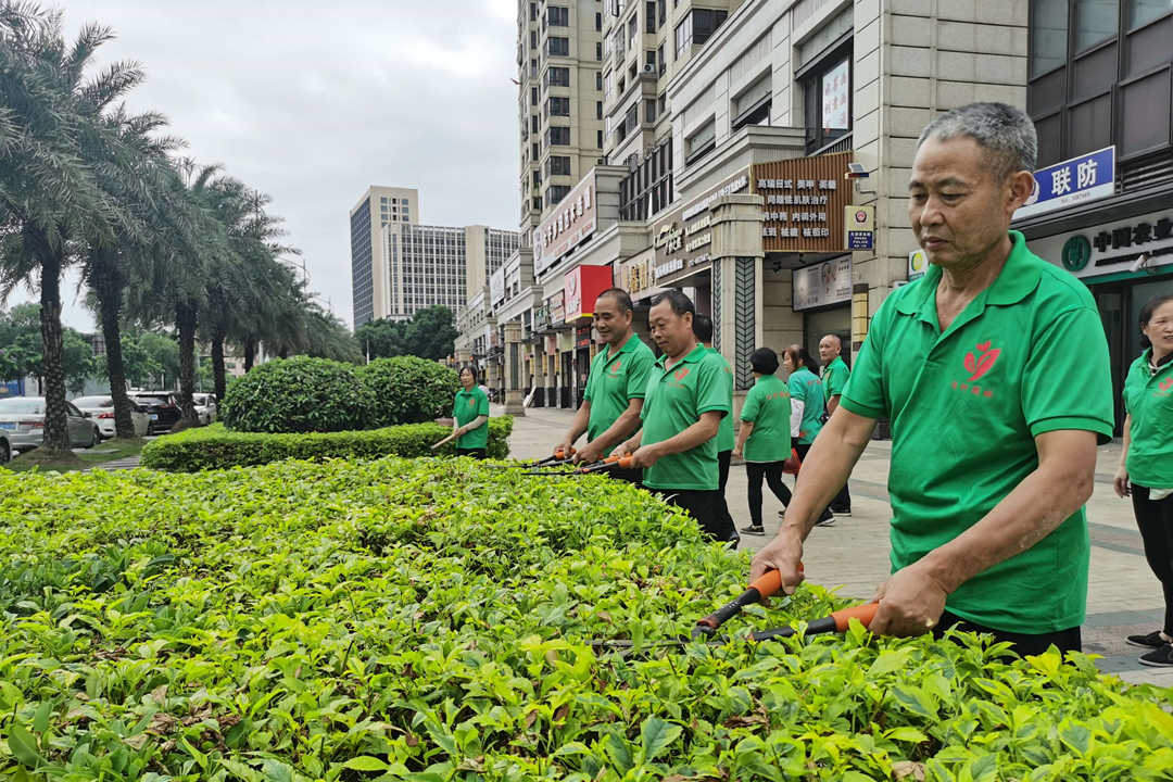 小區(qū)園林綠化養(yǎng)護修剪