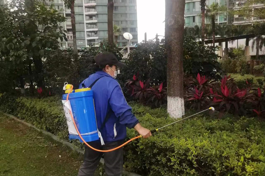 綠化養(yǎng)護(hù)病蟲害防治