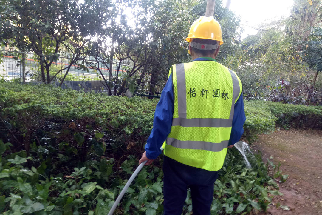 夏季綠化養(yǎng)護(hù)澆水