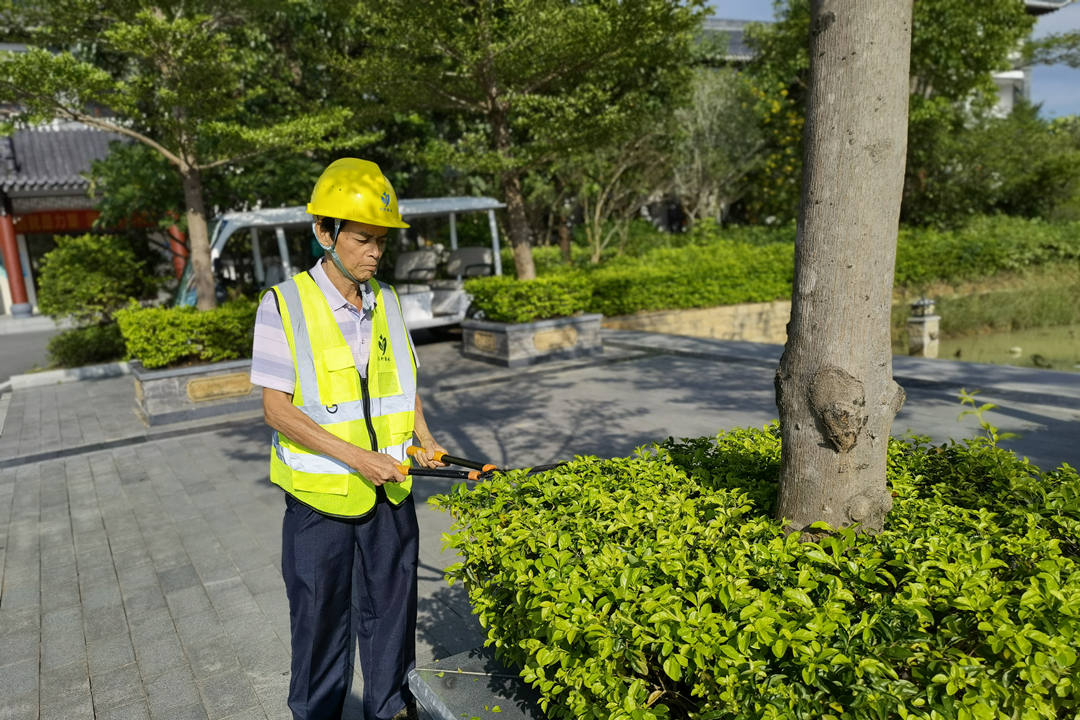 秋季園林綠化養(yǎng)護(hù)修剪