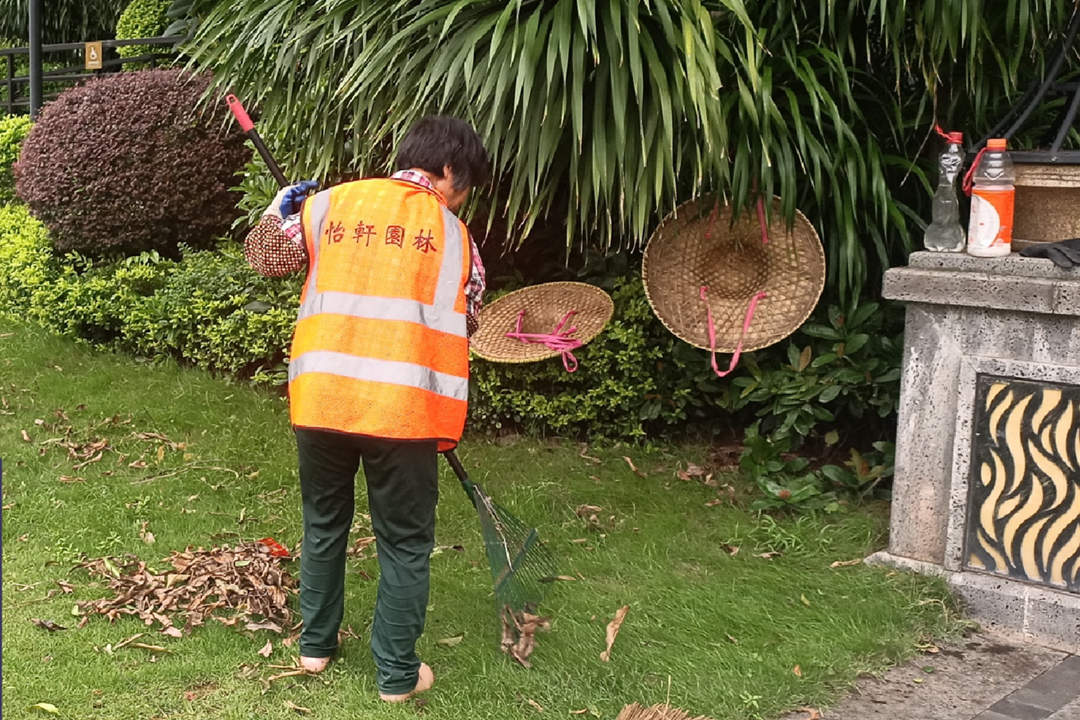 綠化養(yǎng)護(hù)枯葉清理