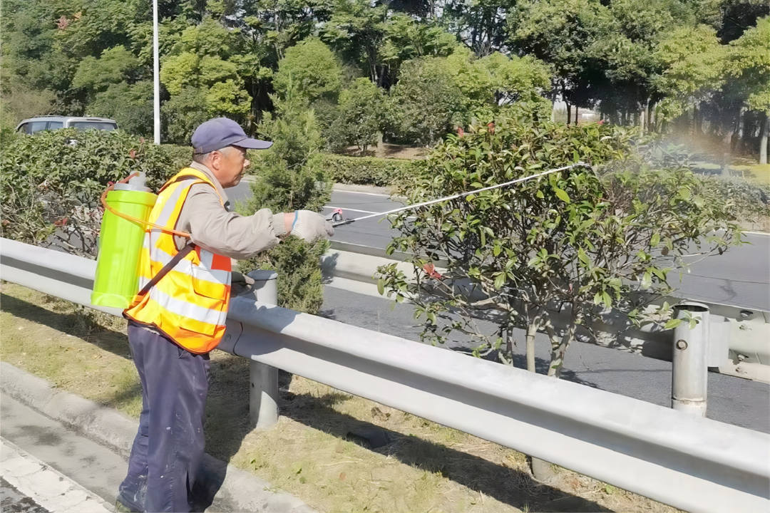 道路綠化養(yǎng)護(hù)