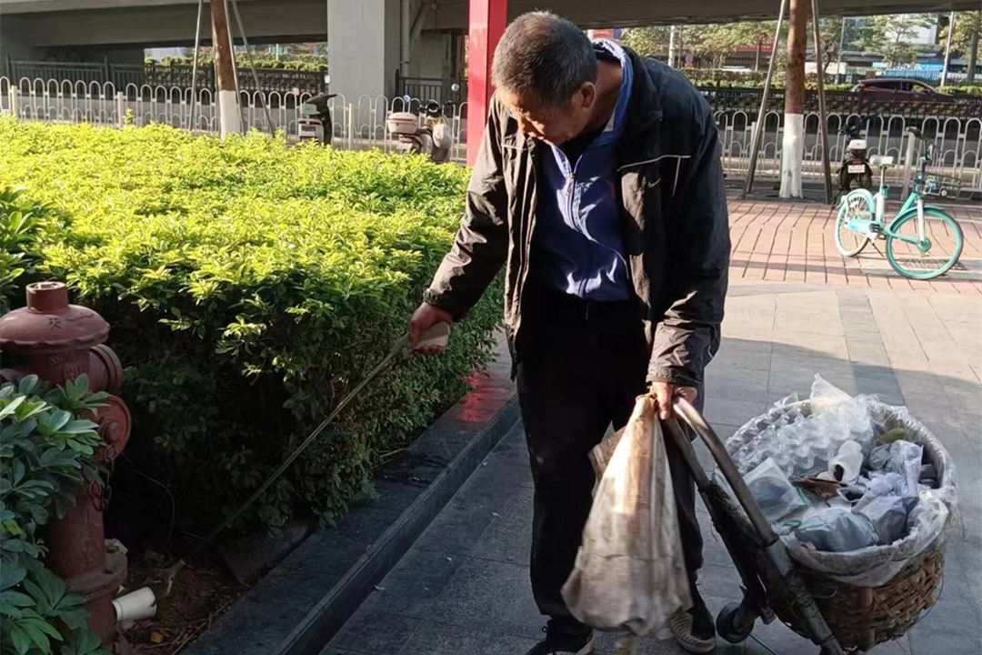小區(qū)綠化養(yǎng)護(hù)清理枯葉