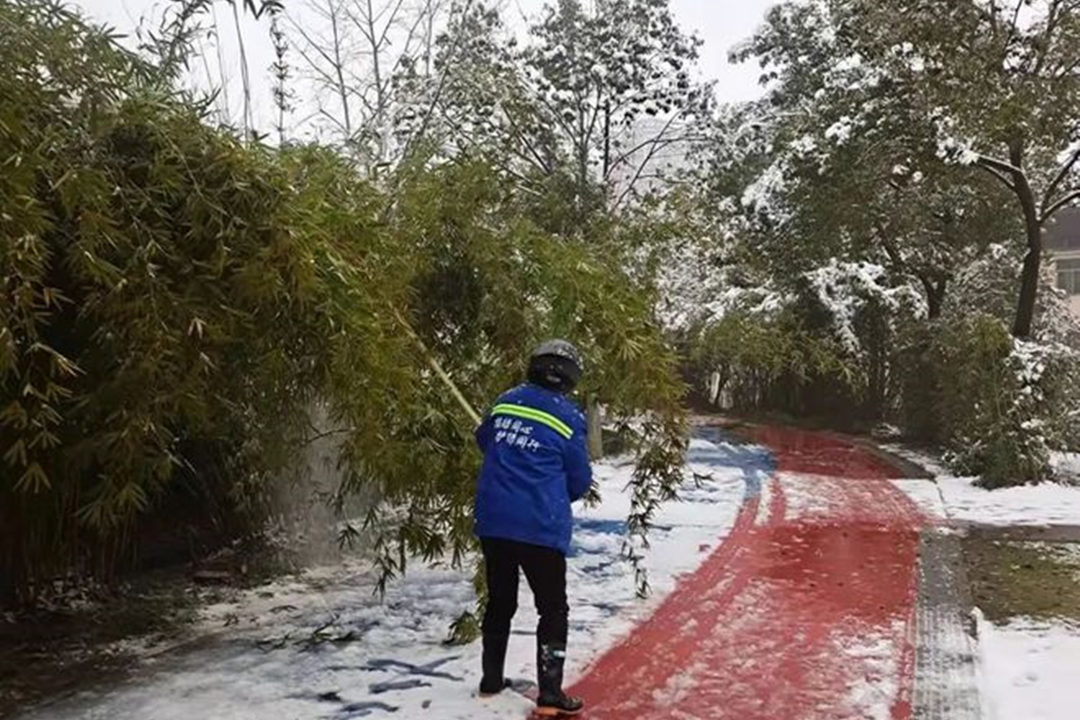 大雪過(guò)后的綠化養(yǎng)護(hù)